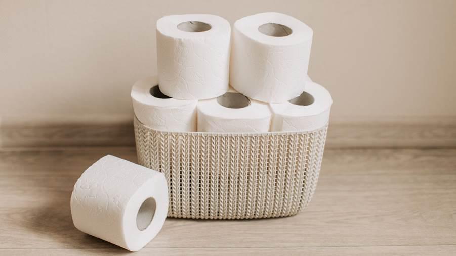 toilette zu benutzen - töpfchentraining